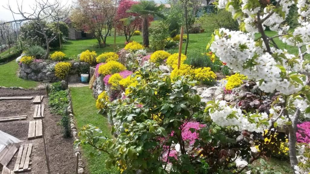 Zahrada ubytování B&B La Betulla