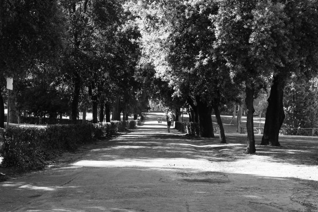 Hotel Priscilla - Resim 22