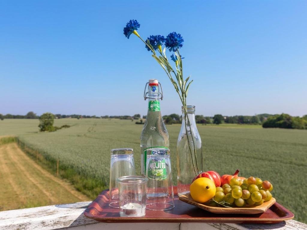 Nápoje v ubytování Holiday Home Nilia - 3-5km from the sea by Interhome