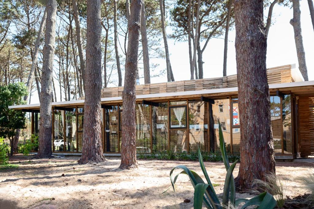 una casa en el bosque con árboles en Rizoma en José Ignacio