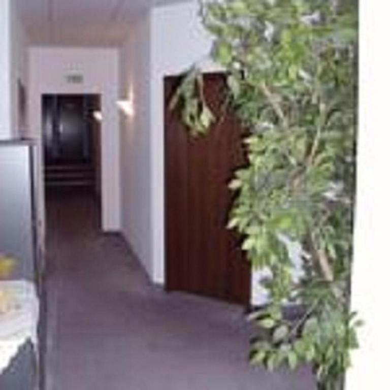 Fotografie z fotogalerie ubytování Pension Waldidyll v destinaci Stützerbach