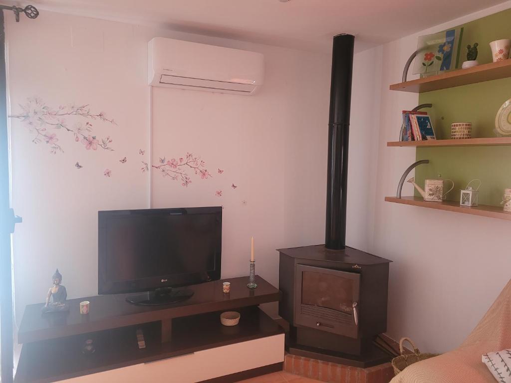 TV a/nebo společenská místnost v ubytování Apartamento la alberca 3