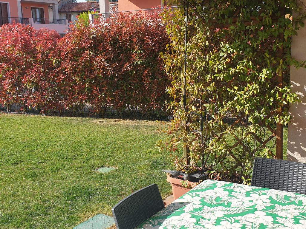 Zahrada ubytování CASA VACANZE DA RIKI