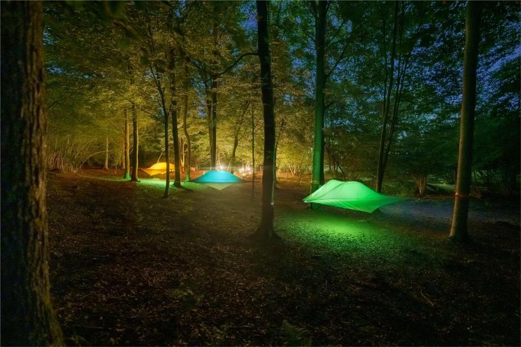 2 tende verdi in una foresta di notte di FUTURE IS NATURE PLAYGROUND a Sala Biellese