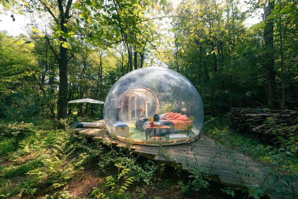 Zahrada ubytování Camping Future Is Nature Playground