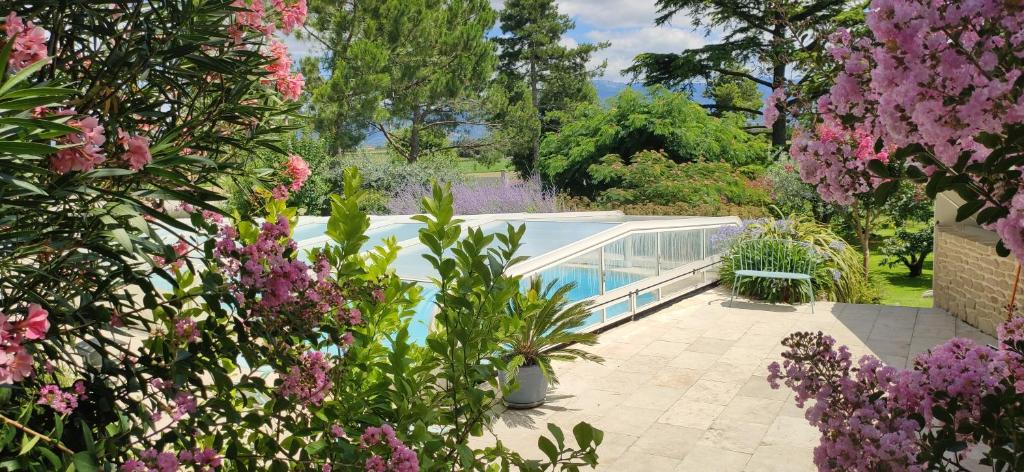 a swimming pool in a garden with purple flowers at La Villa Moursoise 4 Etoiles in Mours-Saint-EusÃ¨be