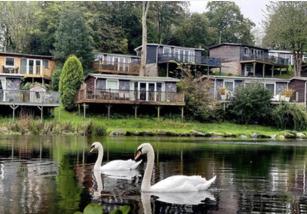 Charming Two Bed Cottage Glan Gwna Holiday Park, Caernarfon (precios