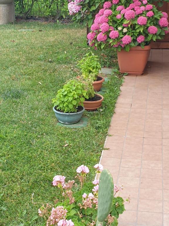 Zahrada ubytování CASA VACANZE DA RIKI