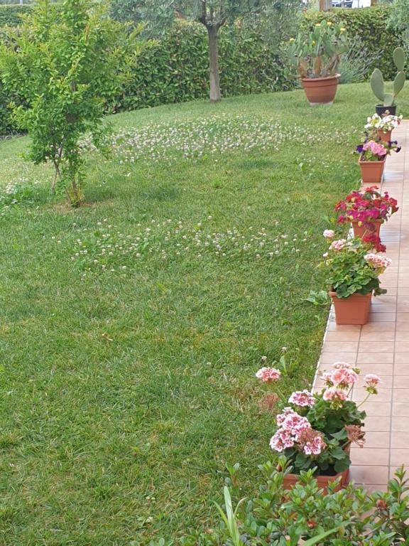 Zahrada ubytování CASA VACANZE DA RIKI