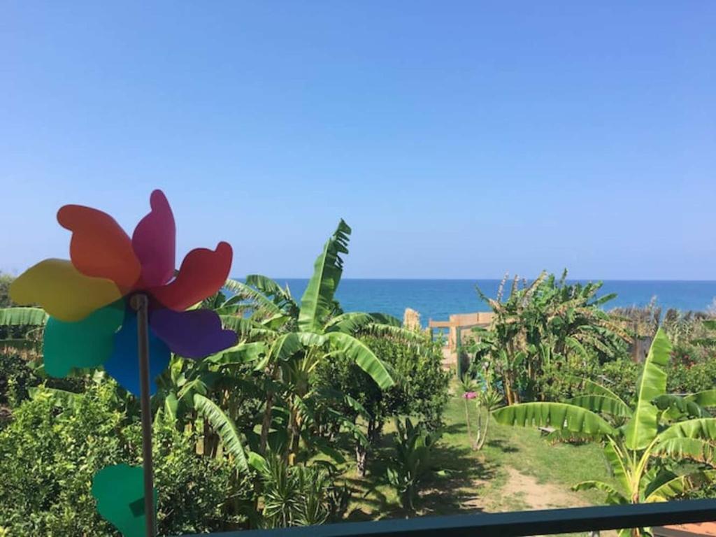 Naso – Photos 4