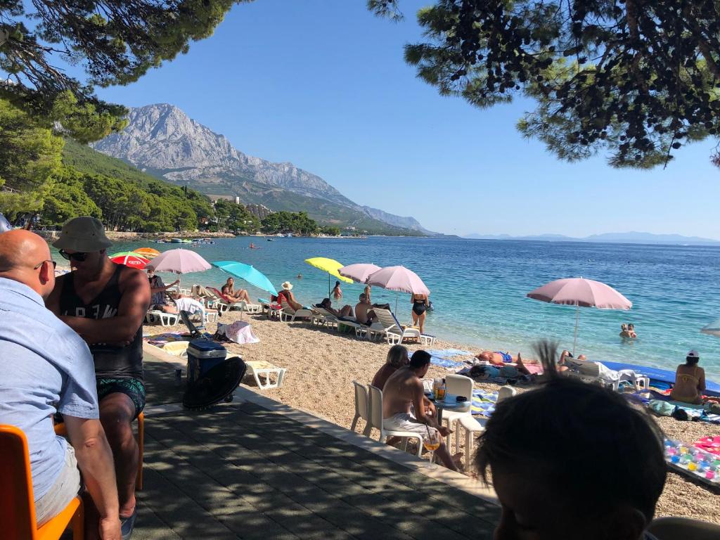 Príroda v okolí apartmánu