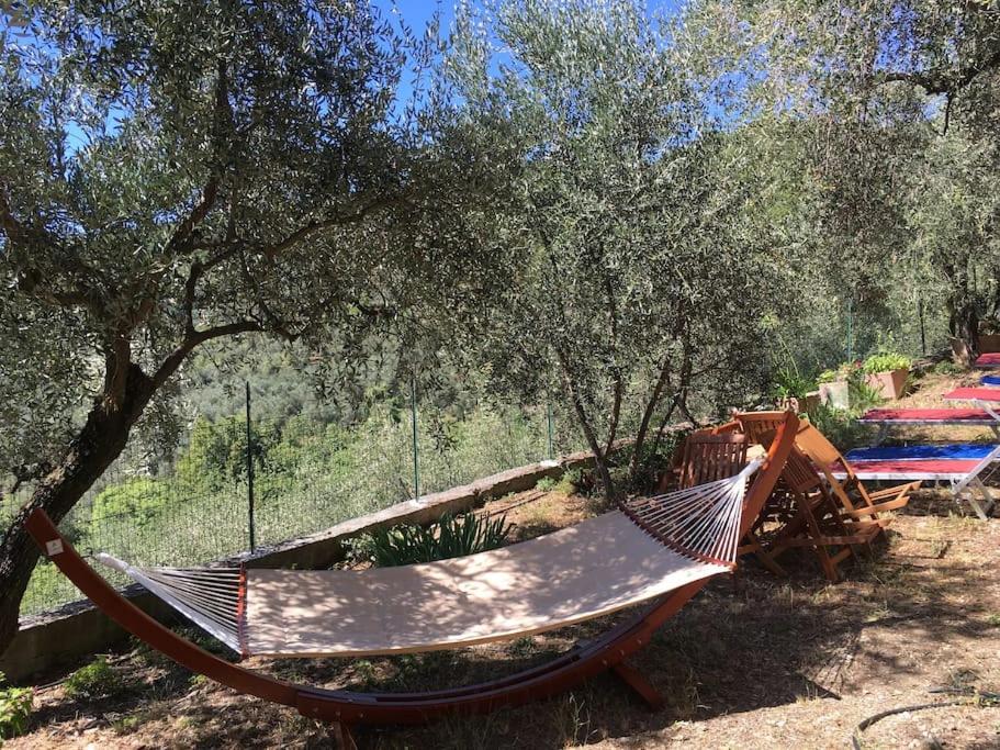 A garden outside Villa Berio Quattro - Miguel