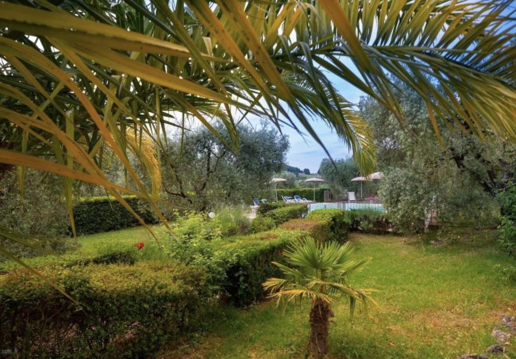 Giardino di Il Vecchio Mulino Toscana