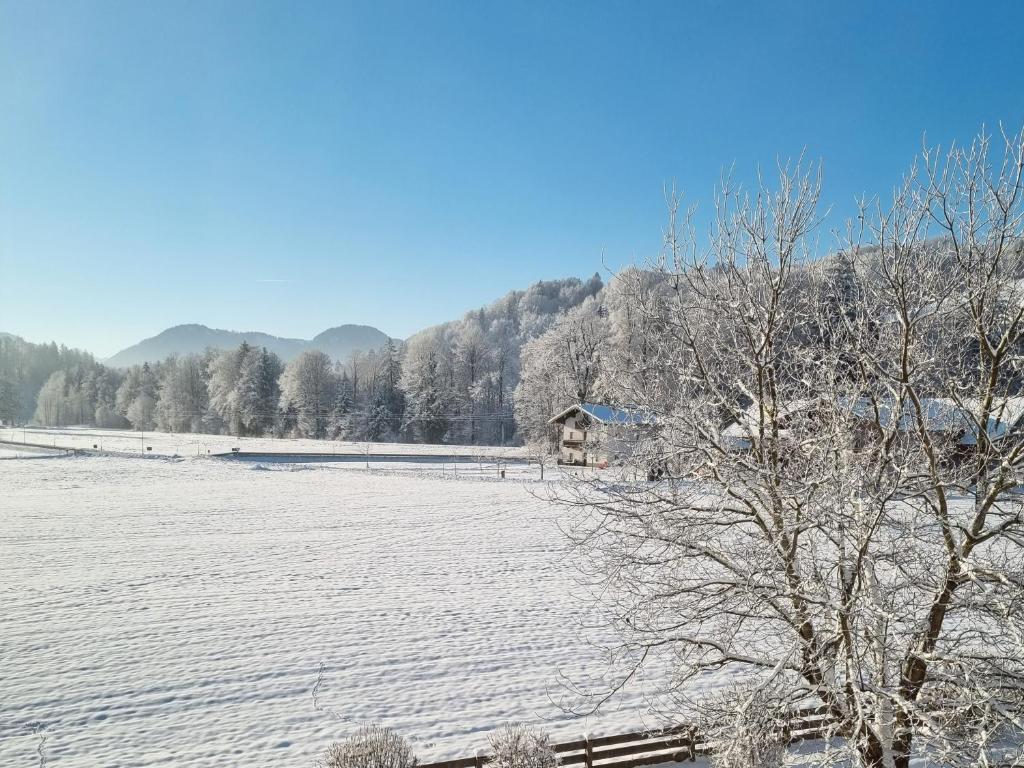 a snow covered field with a house in the background at Ferienwohnungen am Alpenrand in Siegsdorf