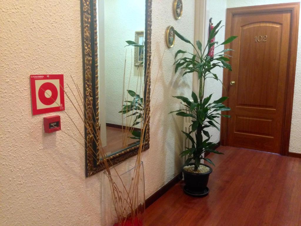 Fotografie z fotogalerie ubytování Hotel Pelayo v destinaci Barcelona