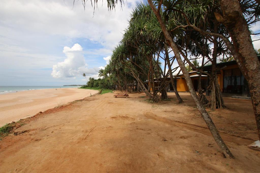 a dirt road next to a beach with trees at The Beach Cabanas Retreat & Spa in Koggala