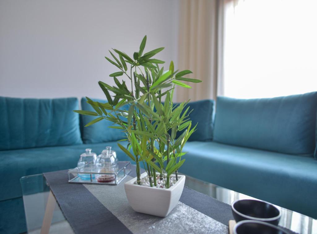 New Marrakech Apartment – Gueliz