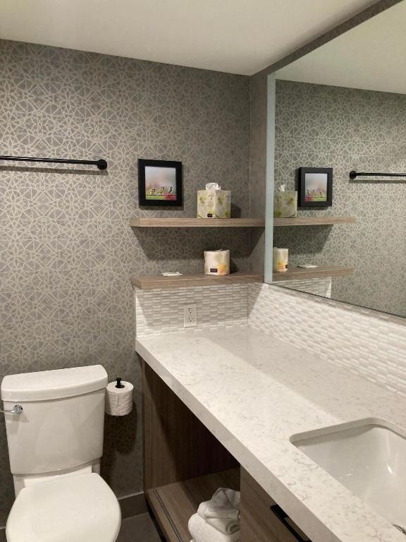 a bathroom with a sink and a toilet and a mirror at Lake Louise Inn in Lake Louise
