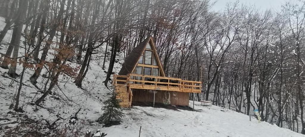CabanaAframe intreaga proprietate v zimě