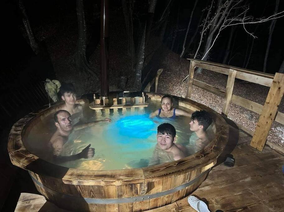 Hosté ubytování CabanaAframe intreaga proprietate