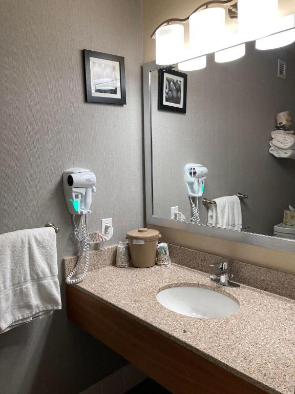a bathroom with a sink and a large mirror at Lake Louise Inn in Lake Louise