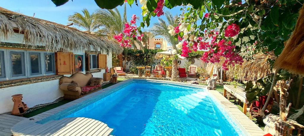 Gallery image of Surfers-Lounge-Dahab Lagoon with Swimming-Pool - Breakfast - Garden - Beduintent - BBQ - Jacuzzi in Dahab