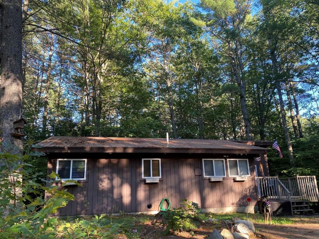 a small cabin in the woods with a tree at ALPINE VILLAGE GETAWAY LIMIT 8 cottage in Bridgton