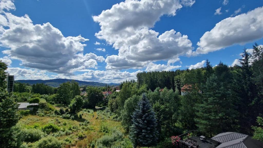 Willa Kwiaty Polskie - 12