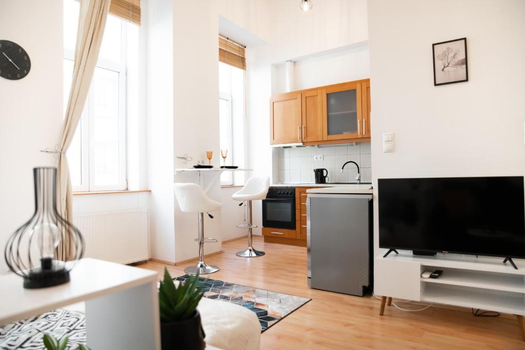 Kuchyňa alebo kuchynka v ubytovaní NEW apartment dohany street