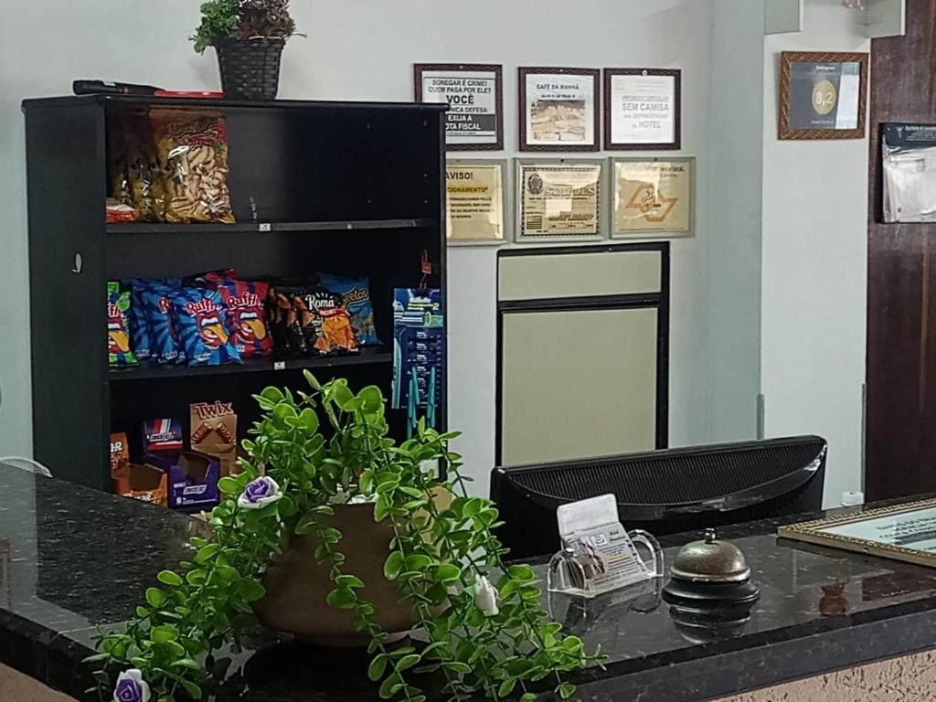 einen Schreibtisch mit Topfpflanze darüber in der Unterkunft Hotel Flamboiã in Araraquara