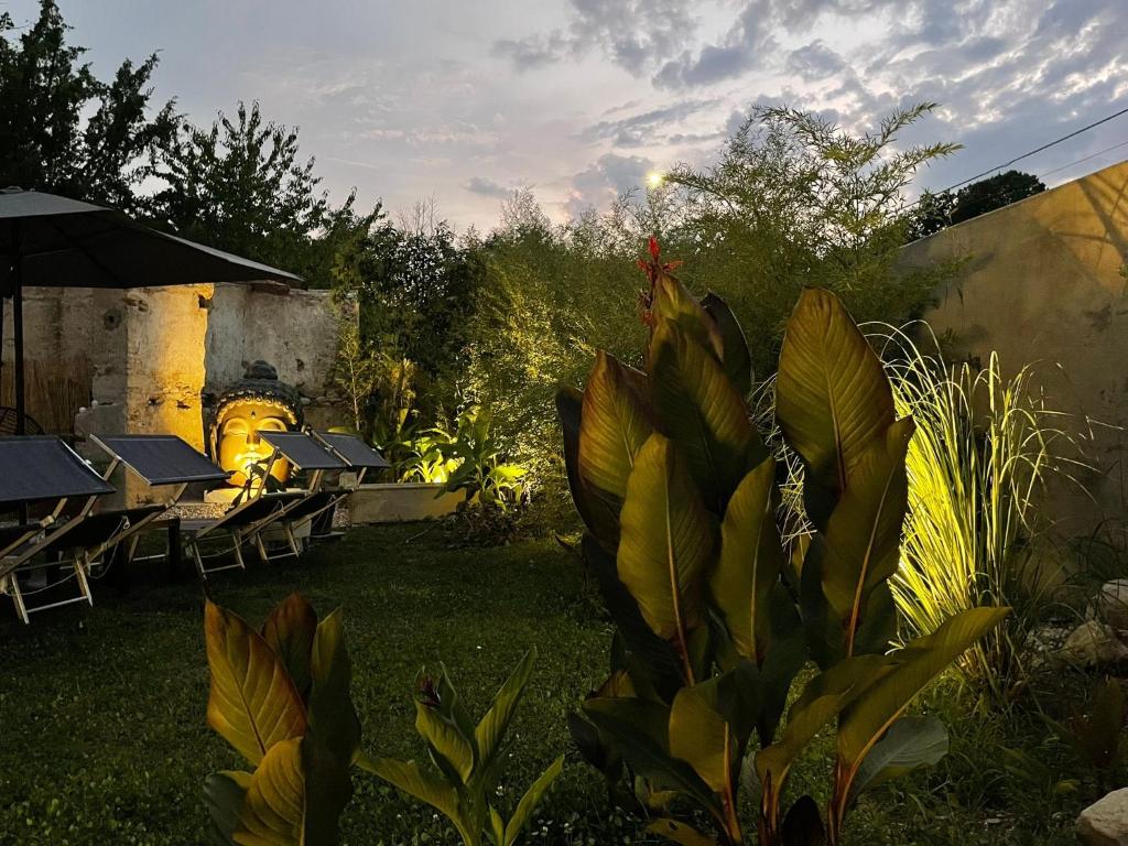 Zahrada ubytování DeLax B&B - adults only