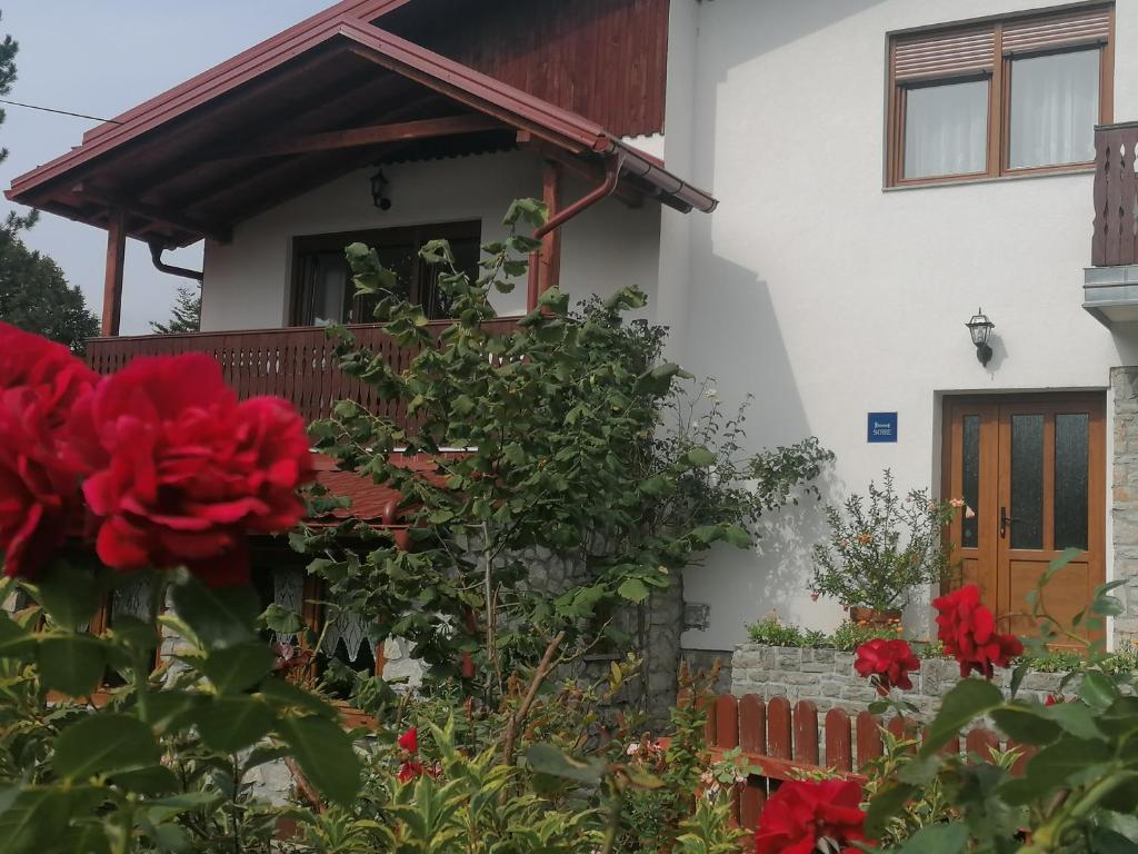 PLITVICE KONAK Daic - 11