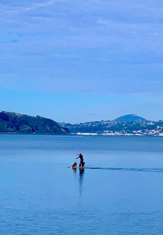 Otago Peninsula Paradise - Resim 28