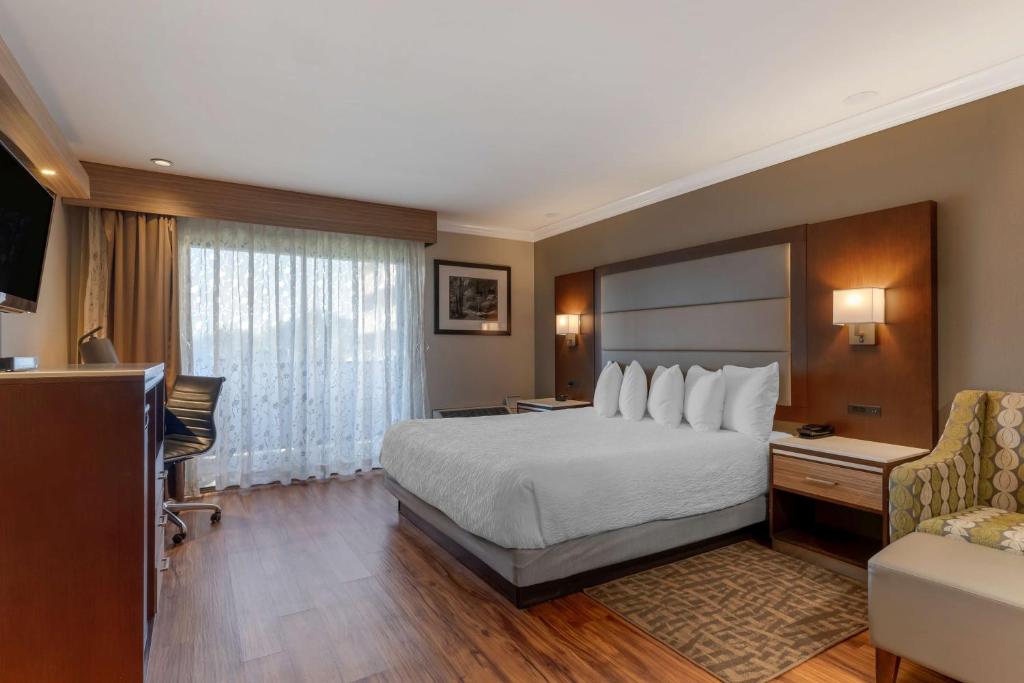 Best Western Plus Forest Park Inn photo