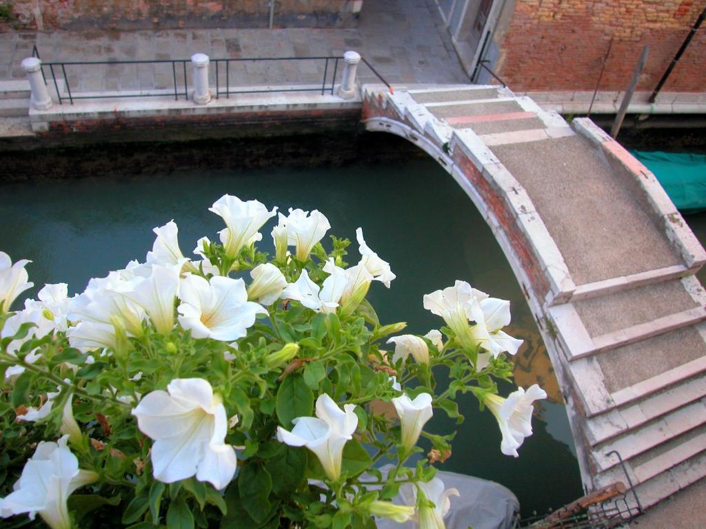 3749 Pontechiodo - 14