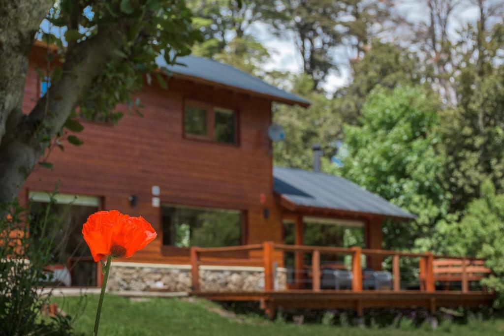 Zahrada ubytování Solar Selvana - Casas de montaña