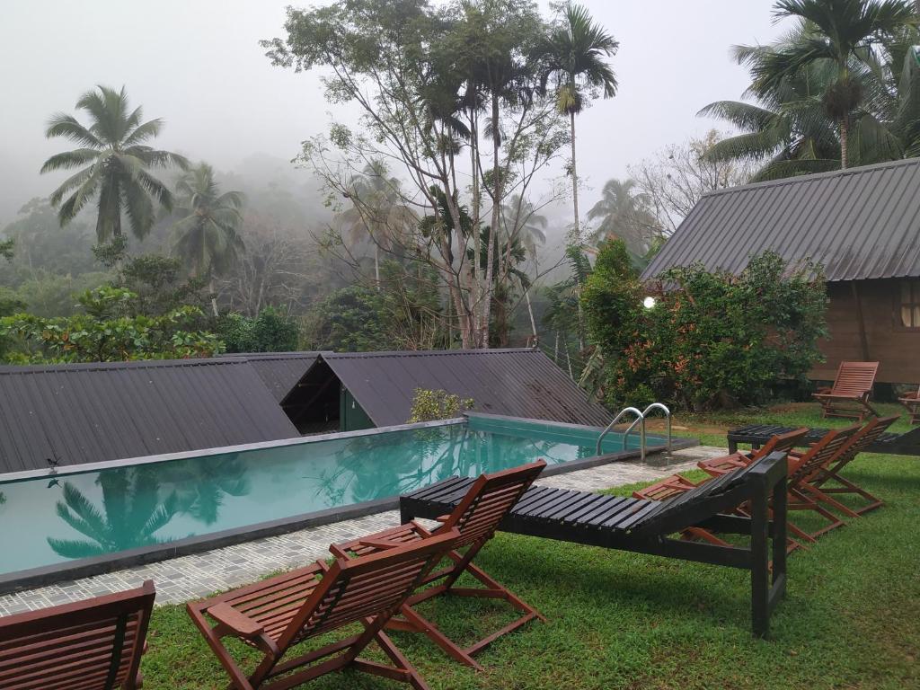 una piscina con sillas, una mesa y una piscina en Rainforest Chalets - Rainforest Tours,Pool And Ac, en Deniyaya