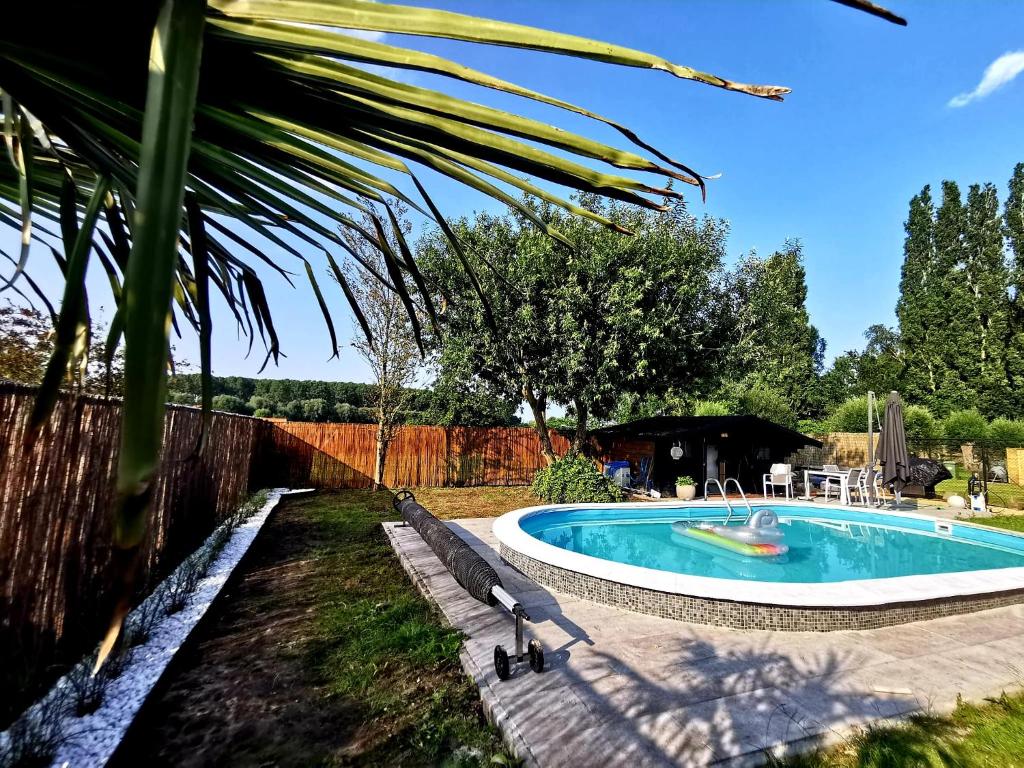 a swimming pool in a yard with benches around it at Pop Up Camping Tomorrow's Paradise in Schelle