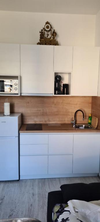 Kuchyňa alebo kuchynka v ubytovaní Pavelin apartments