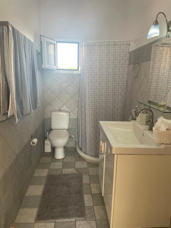 a bathroom with a toilet and a sink at Dina Apartment in Skala Kefalonias