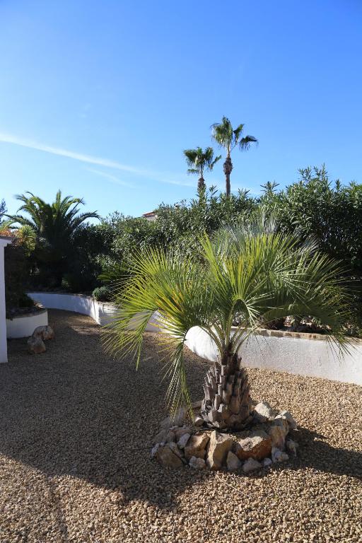 Zahrada ubytování Villa Sal y Mar - Jávea ! Freshly Renovated !