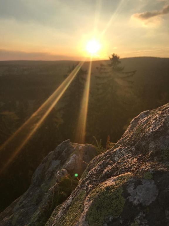 Příroda nedaleko apartmánu