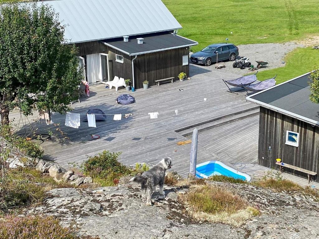 Holiday home ELLÖS IX في Ellös: كلب يقف على سطح السفينة بجوار مبنى