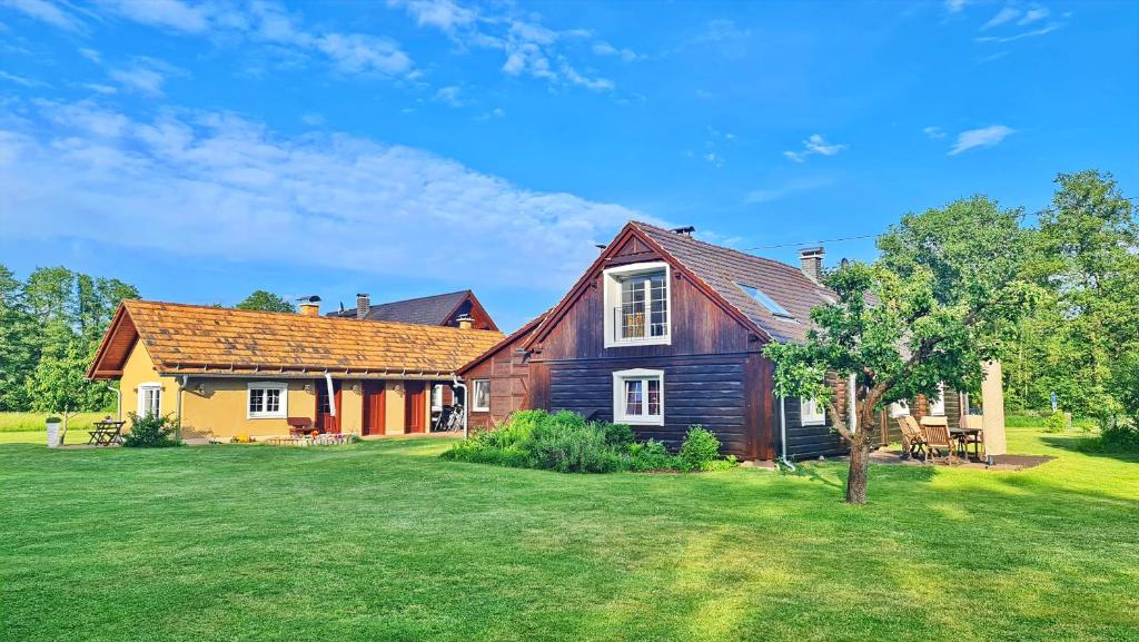 una casa con un patio verde con una casa en Grüne Farm (FeWo West), en Burg Kauper