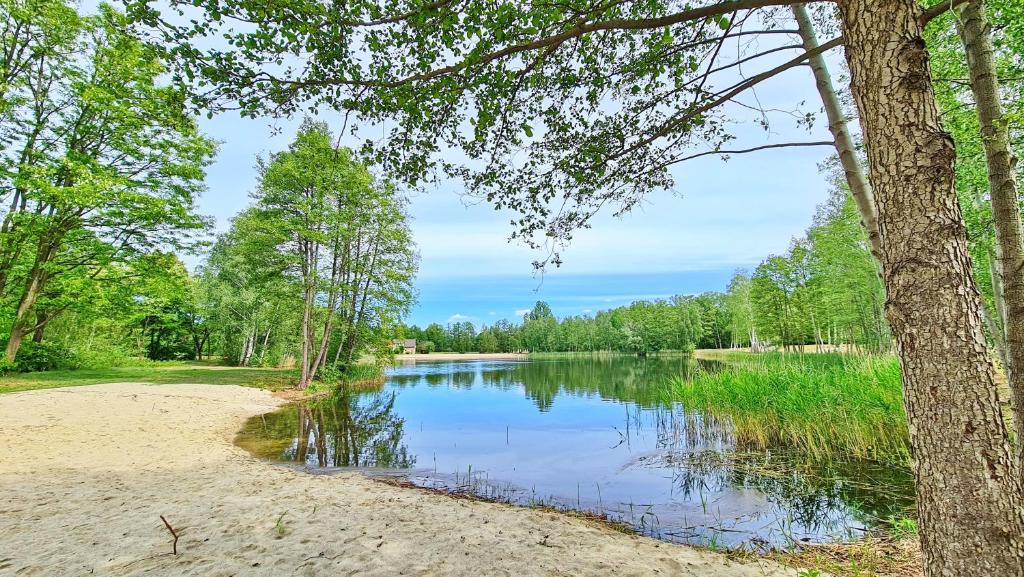 Loodusmaastik puhkemaja lähedal