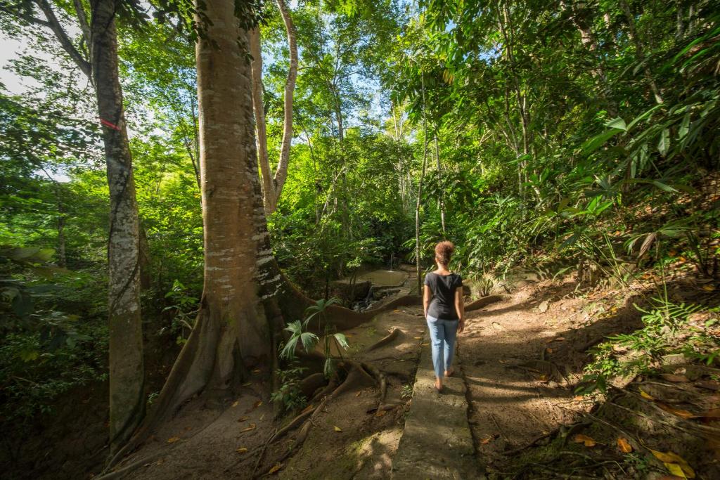 Hosté ubytování Pumarinri Amazon Lodge