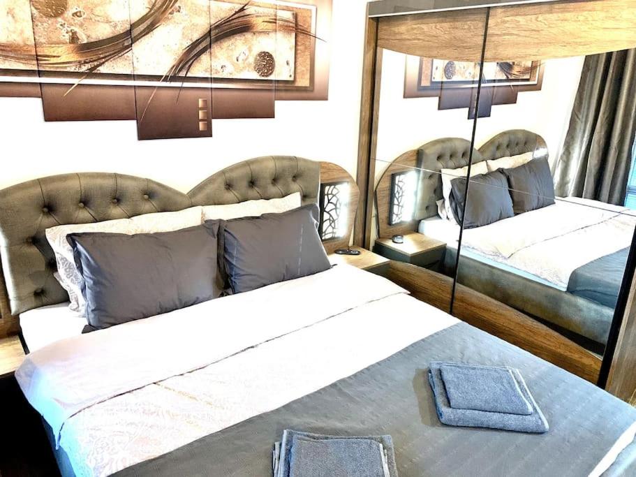 魯塞的住宿－Asitad DeLuxe Apartments，一间卧室配有一张大床和一张沙发