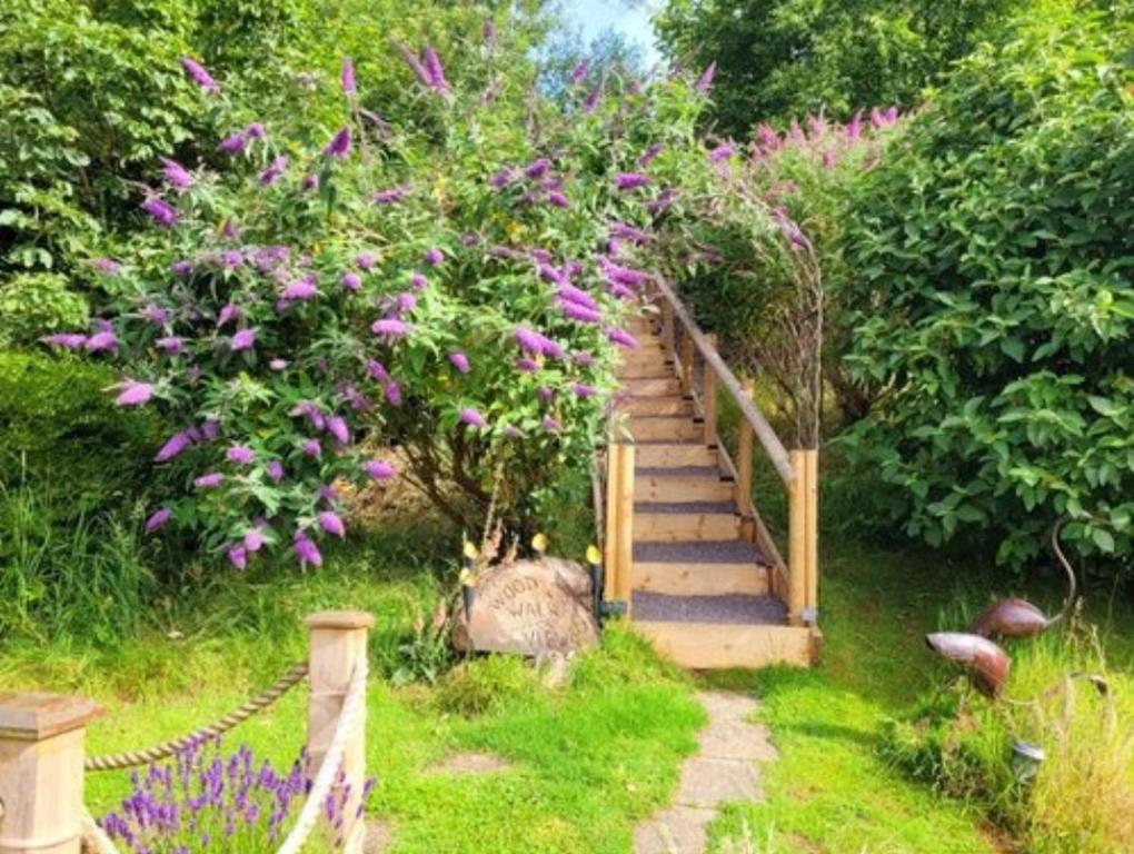 a garden with a stairway with a tree with purple flowers at The Hideaway in Shepton Mallet