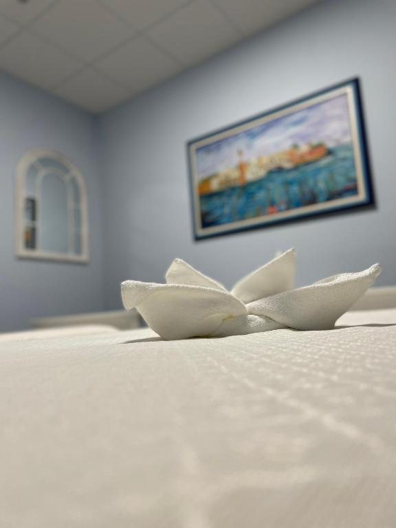 Hostel & Rooms O Albergue da Meiga - Standard Twin Room With Shared Bathroom