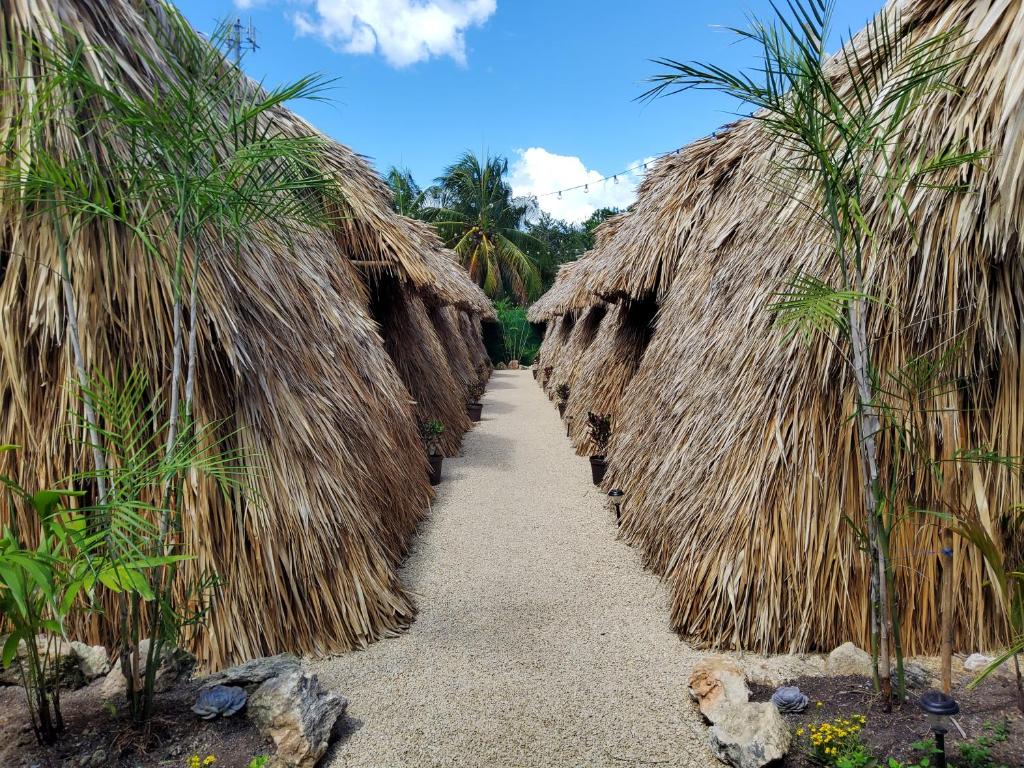 a path between two thatched huts with palm trees at Hakuna Matata Glamping in Bacalar